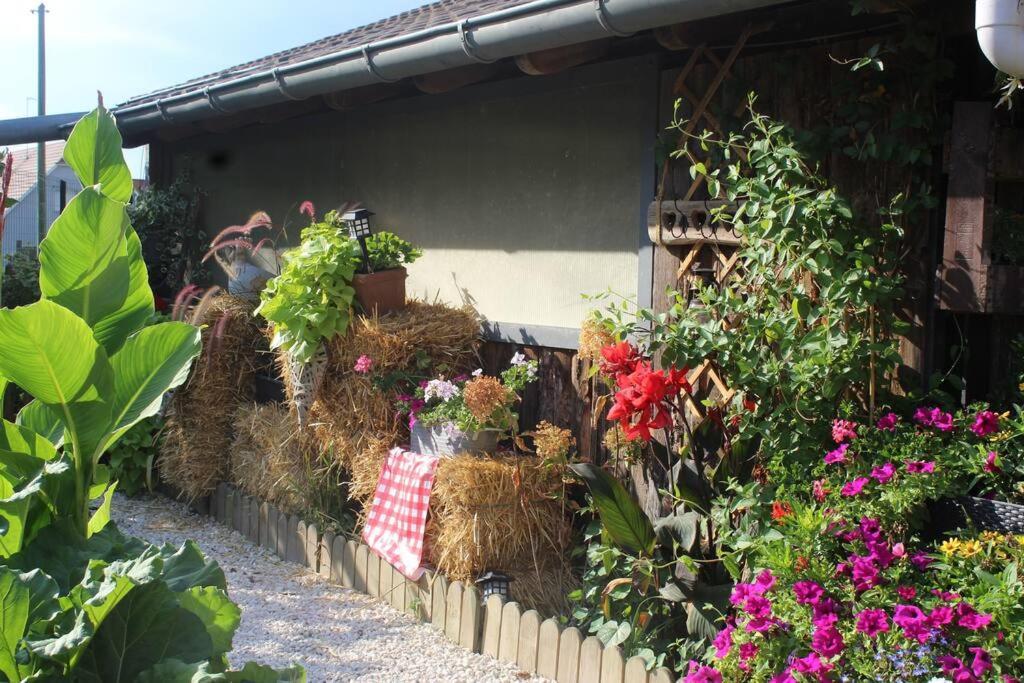 Maisonnette Bindernheim Екстер'єр фото